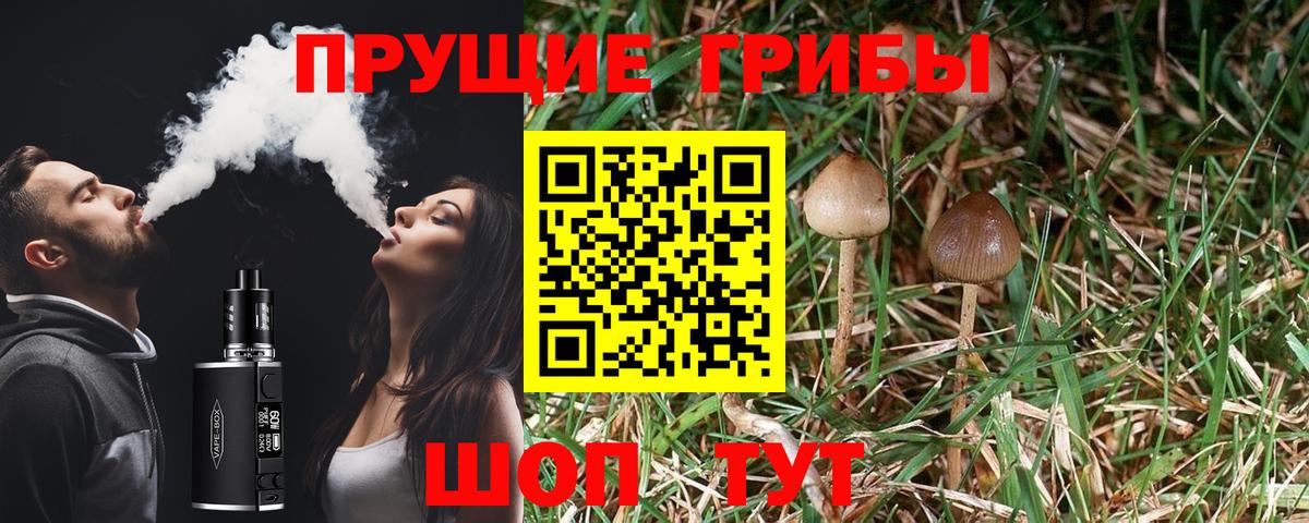 где продают   Галлюциногенные грибы MAGIC MUSHROOMS  Вход с VPN  Ревда  Галлюциногенные грибы мицелий 